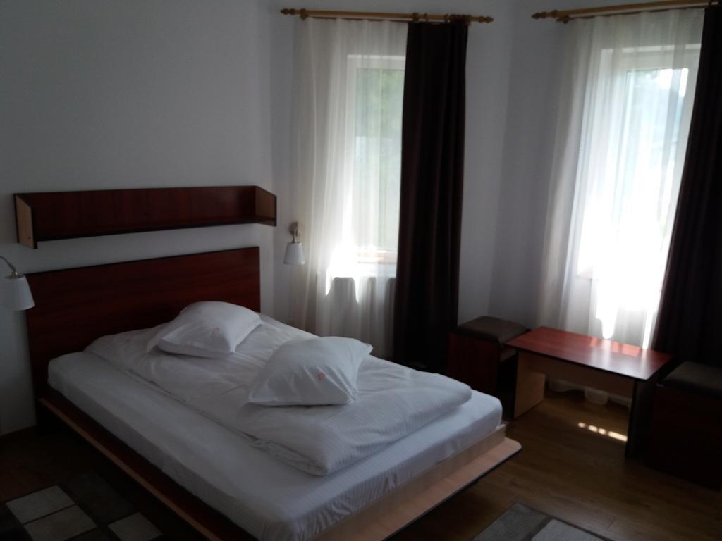 Vila Viitorul Buşteni Exterior foto